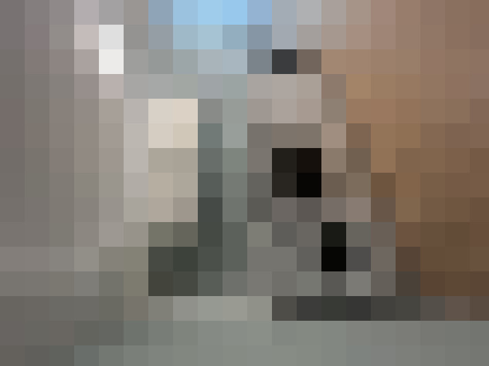  / #8