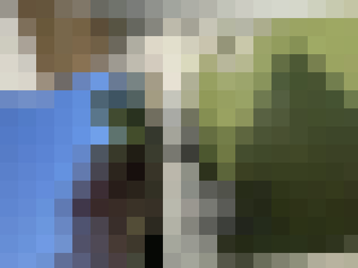  / #15
