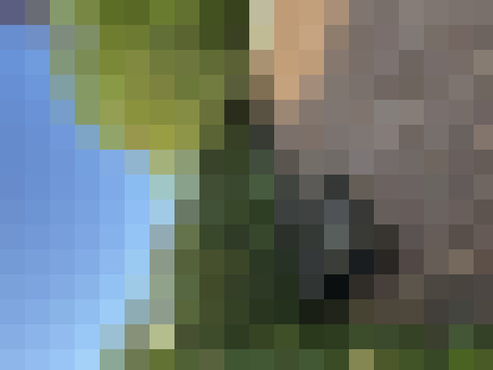  / #16