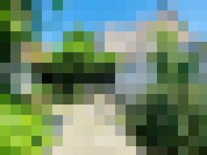  / #18