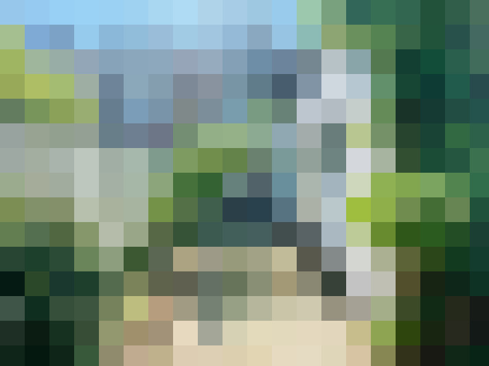  / #17