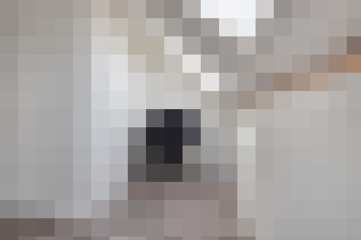  / #24