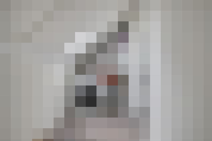  / #21